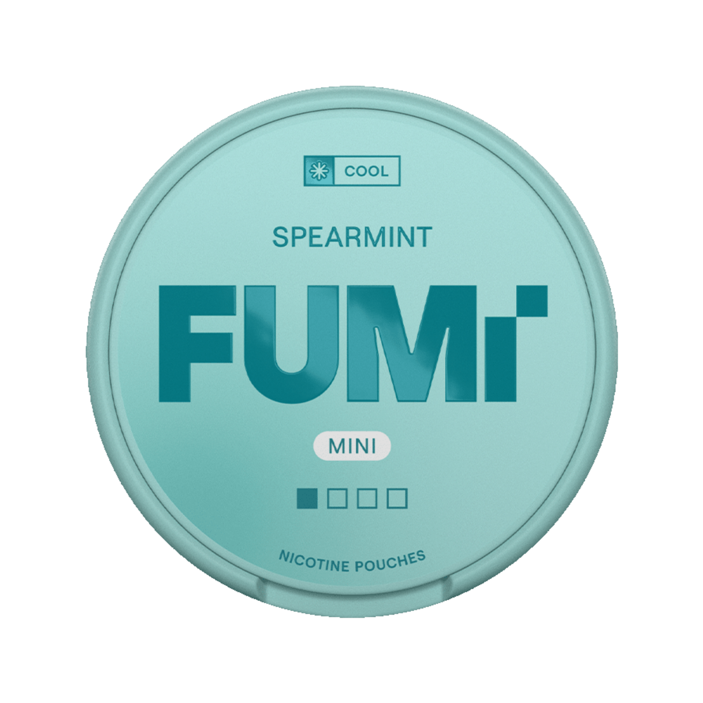 FUMi Spearmint Mini 4mg
