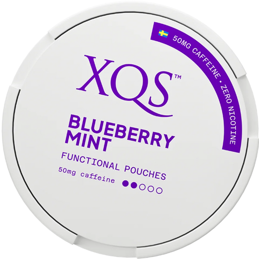 XQS Blueberry Mint Functional Pouches 50MG - Nicotine and tobacco free