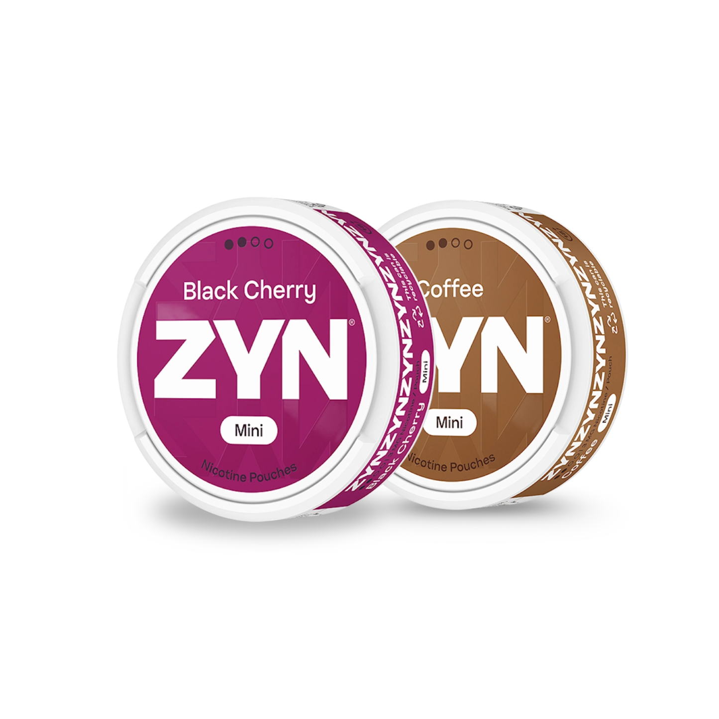 ZYN Mini Mix Package